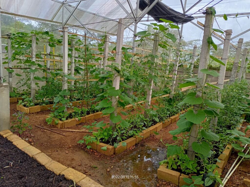 Gallery 2 of 35